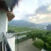 BRZ POOL