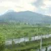 BRZ POOL