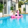 EVL POOL