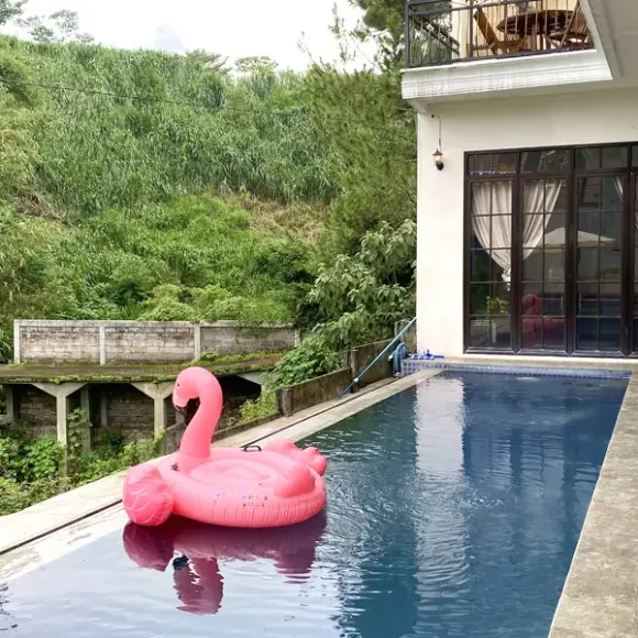 HNBL 7 POOL