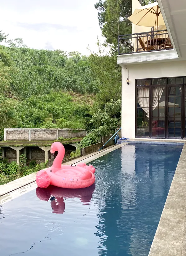 HNBL 7 POOL