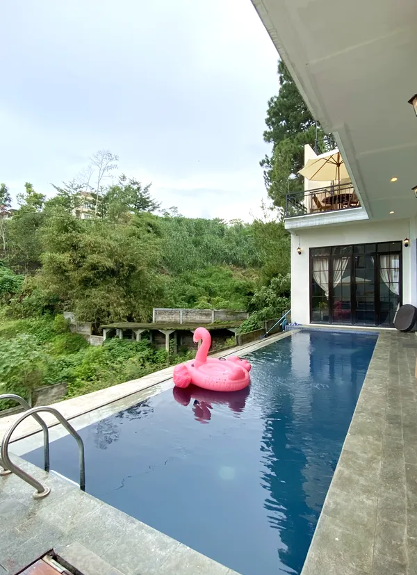 HNBL 7 POOL