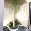 RSA POOL